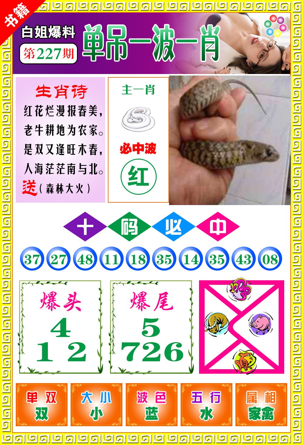 王中王免費一肖開獎，揭秘彩票背后的秘密，揭秘彩票背后的秘密，王中王免費一肖開獎探秘