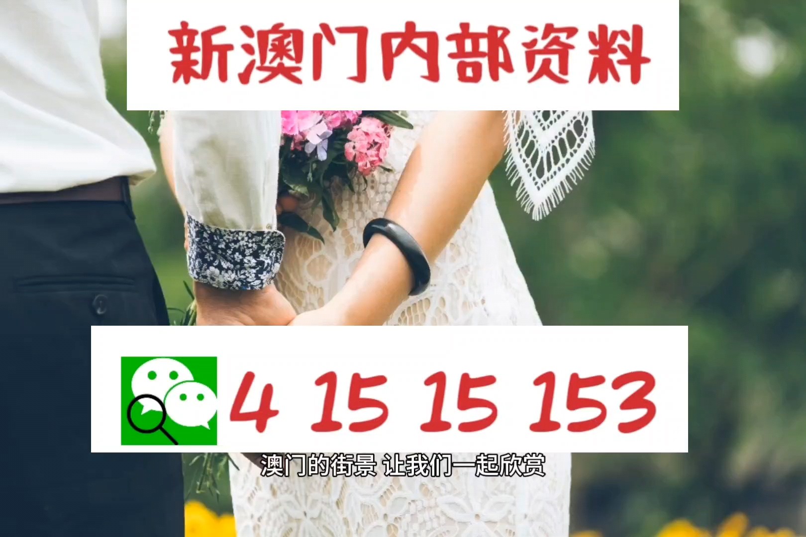 澳門特碼，探索其背后的秘密與魅力，澳門特碼背后的秘密與魅力探索