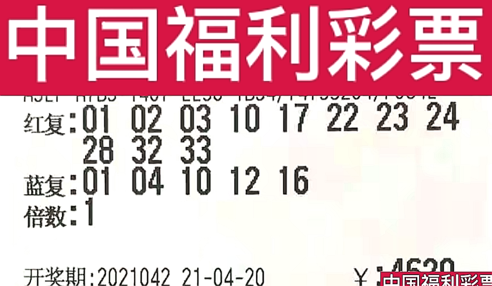 新奧門今晚開獎結(jié)果查詢第243期，全面解析與預(yù)測，新奧門第243期開獎結(jié)果解析與預(yù)測，今晚開獎揭秘