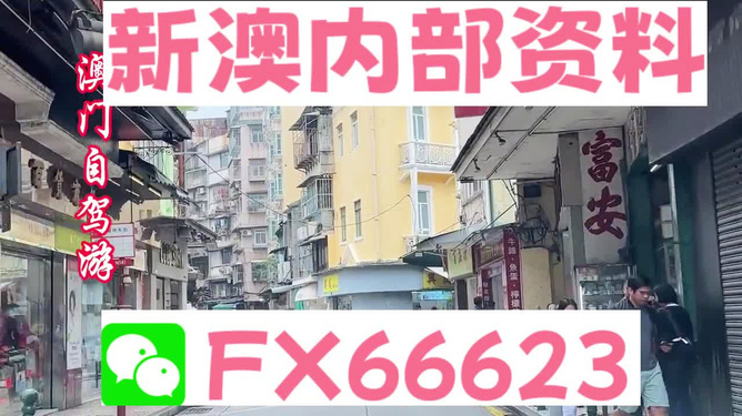 新澳精準資料免費提供，探索與實踐的指南，新澳精準資料免費分享，探索與實踐的導航指南