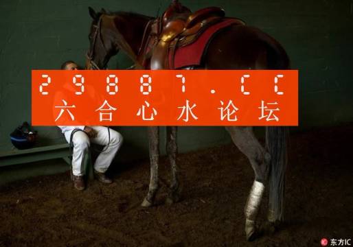一肖一馬王中王一馬中特，深度解析與SEO優(yōu)化策略，一肖一馬王中王深度解析與SEO優(yōu)化策略探討