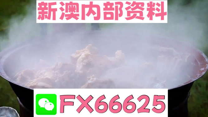 新澳全年免費(fèi)資料大全，一站式獲取優(yōu)質(zhì)資源指南，新澳全年優(yōu)質(zhì)資源免費(fèi)獲取指南