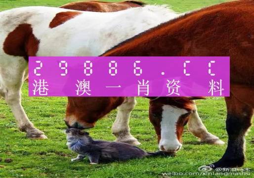 新奧門一肖一碼，揭秘精準(zhǔn)預(yù)測的秘密，揭秘新澳門一肖一碼精準(zhǔn)預(yù)測的秘密