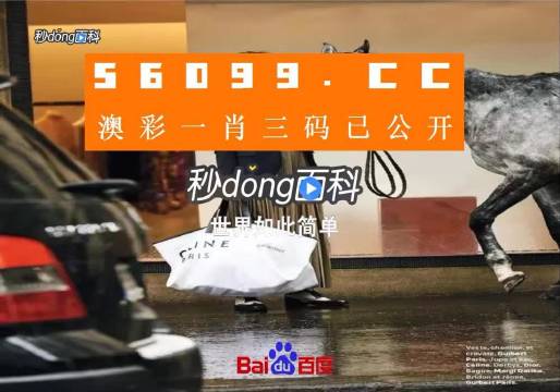 新澳一碼三中三資料，探索與解析，新澳一碼三中三資料解析與探索