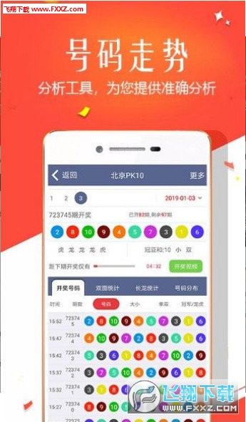 王中王四肖選一，揭秘選擇與優(yōu)化策略，王中王四肖選一，選擇與優(yōu)化策略的揭秘