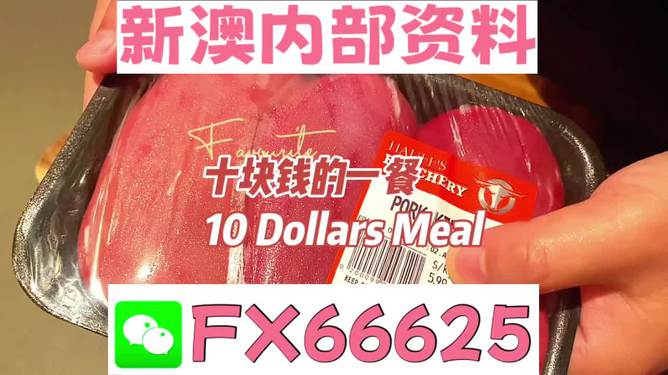 揭秘2025新澳精準(zhǔn)資料免費(fèi)大全——一站式獲取最新資源，揭秘2025新澳精準(zhǔn)資料免費(fèi)大全，最新資源一站式獲取
