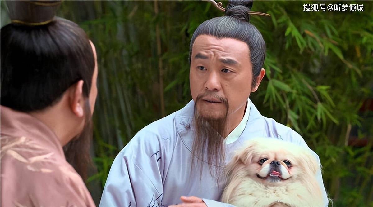 揭秘劉伯溫四不象一肖的神秘面紗——探尋背后的傳奇故事，揭秘劉伯溫四不象一肖背后的傳奇故事，神秘面紗下的神秘傳說