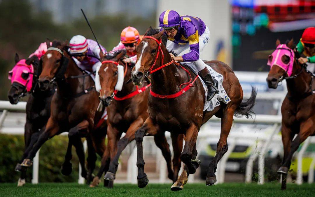 香港賽馬，探索賽馬運(yùn)動(dòng)的激情與榮耀之地——7777788888的獨(dú)特魅力，香港賽馬，激情與榮耀的獨(dú)特魅力探索——777778賽馬運(yùn)動(dòng)之地