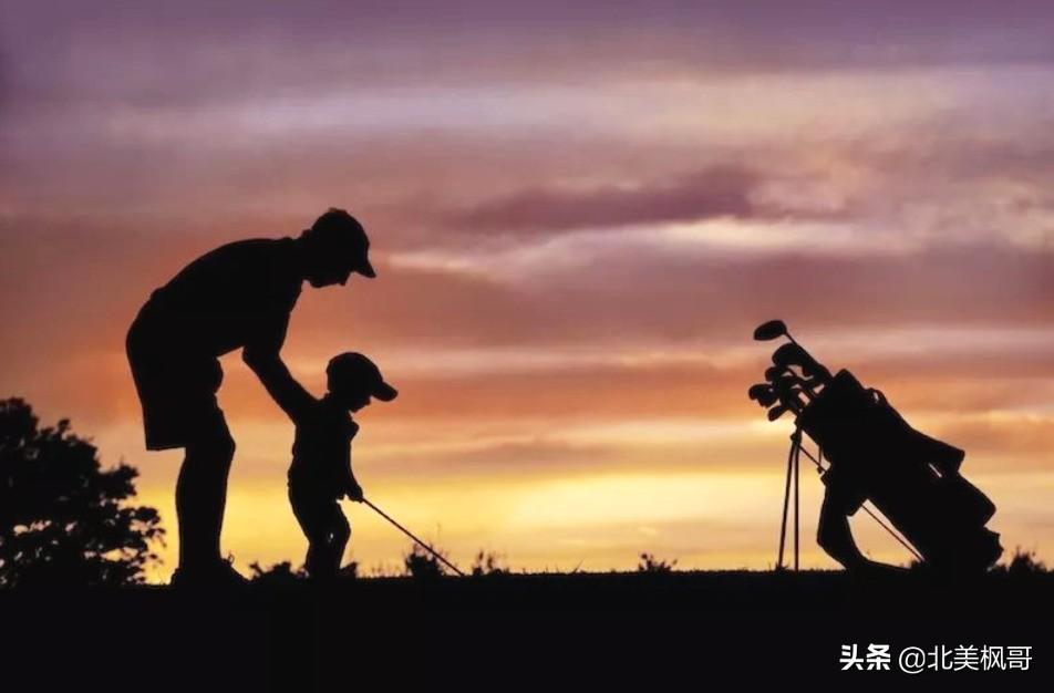森林高手王中王與神秘生肖——深度解讀背后的故事與秘密，森林高手王中王與神秘生肖，故事背后的深度解讀與秘密探尋