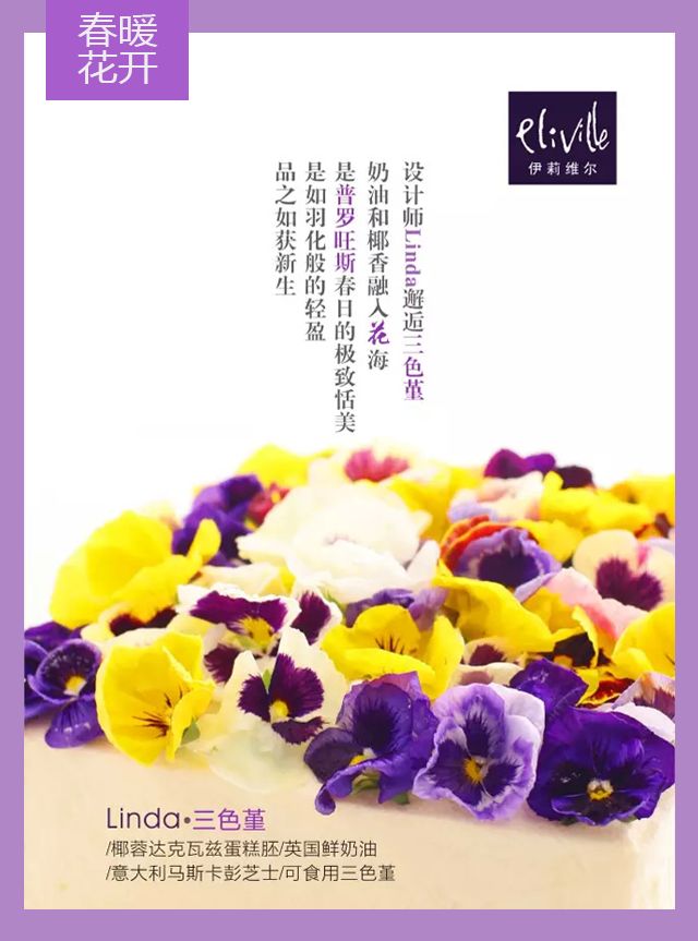 王中王339期指一生肖——探尋背后的秘密與玄機(jī)，探尋王中王339期生肖背后的秘密與玄機(jī)