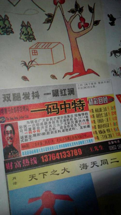 欲錢詩猜一肖——探尋王中王的奧秘，探尋王中王的奧秘，欲錢詩猜一肖