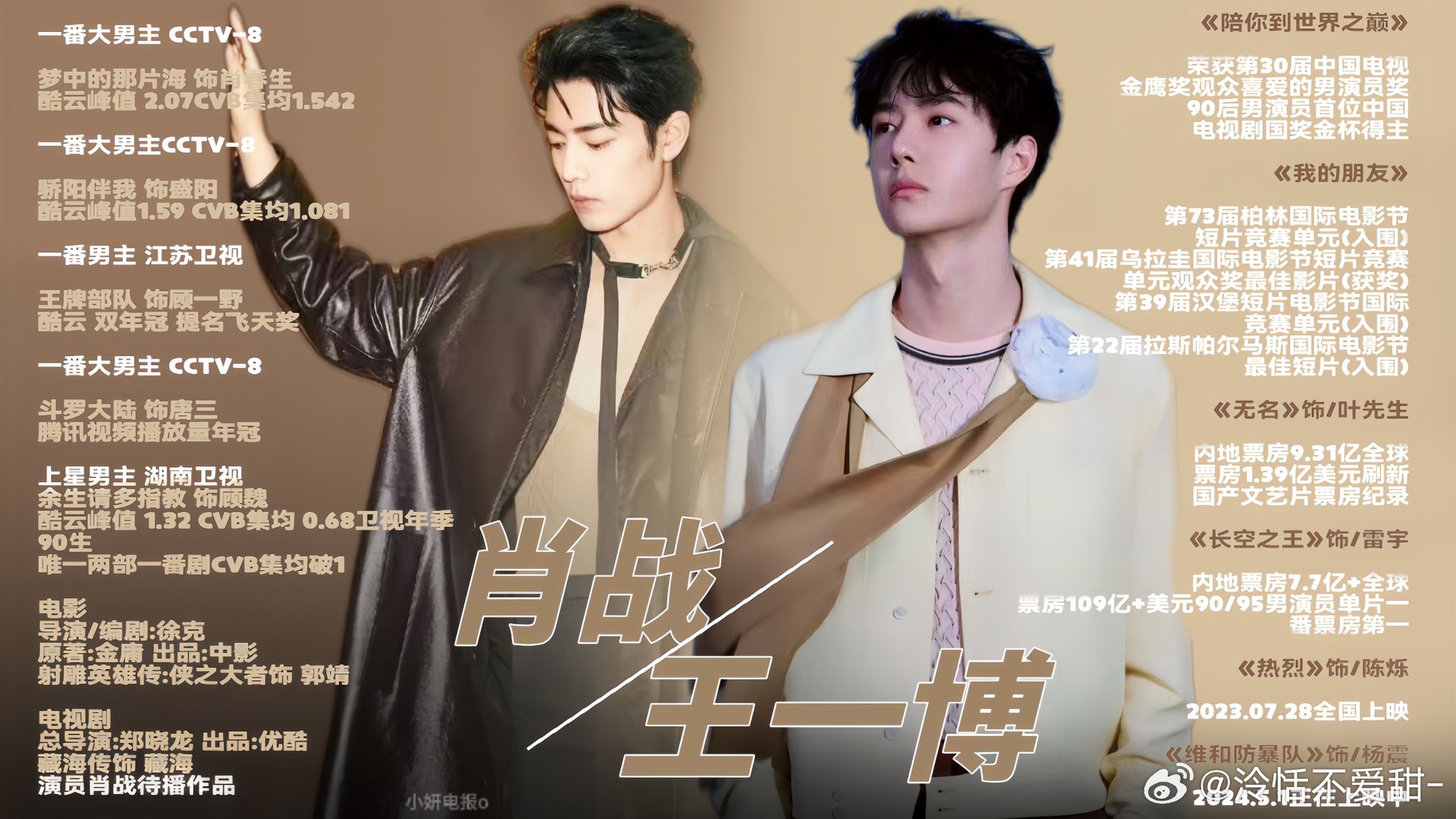 王中王一肖中特全年資料解析與SEO優(yōu)化策略，王中王一肖中特全年資料解析與SEO策略詳解