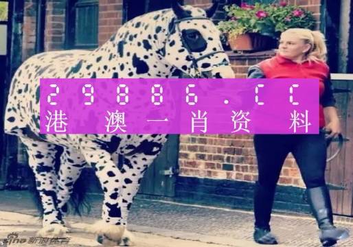 澳門王中王，揭秘一肖中特資料背后的秘密，澳門王中王揭秘，一肖中特資料背后的秘密傳奇