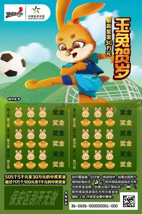 王中王一肖中特兔費(fèi)，探索關(guān)鍵詞背后的奧秘，探索關(guān)鍵詞王中王一肖中特兔費(fèi)背后的奧秘