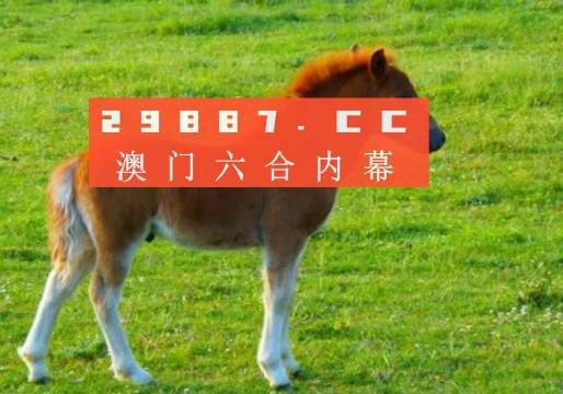 新奧門一肖一馬平特大全，揭秘熱門關鍵詞背后的故事，揭秘新澳門熱門關鍵詞背后的故事，一肖一馬平特大全