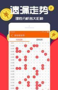 王中王一肖十，深度解析與SEO優(yōu)化策略，王中王一肖十深度解析與SEO優(yōu)化策略探討