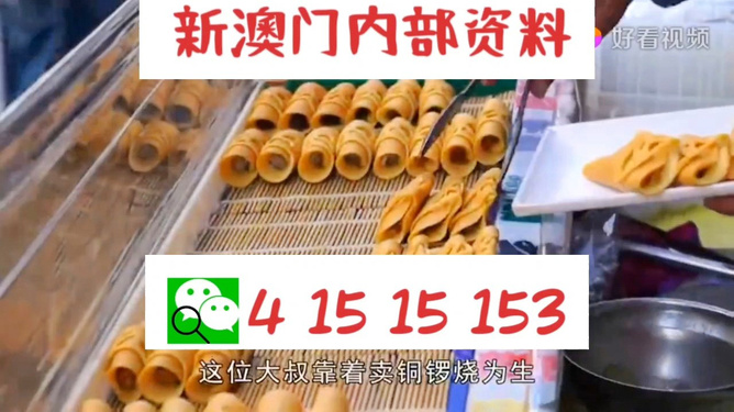 探索澳門彩票文化，新澳門天天開好彩的奧秘與未來展望（關(guān)鍵詞，新澳門天天開好彩），澳門彩票文化深度解析，新澳門天天開好彩的奧秘與未來展望