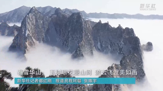 澳門最精準龍門，探索真正的精準之道，澳門最精準龍門，揭秘真正的精準之道