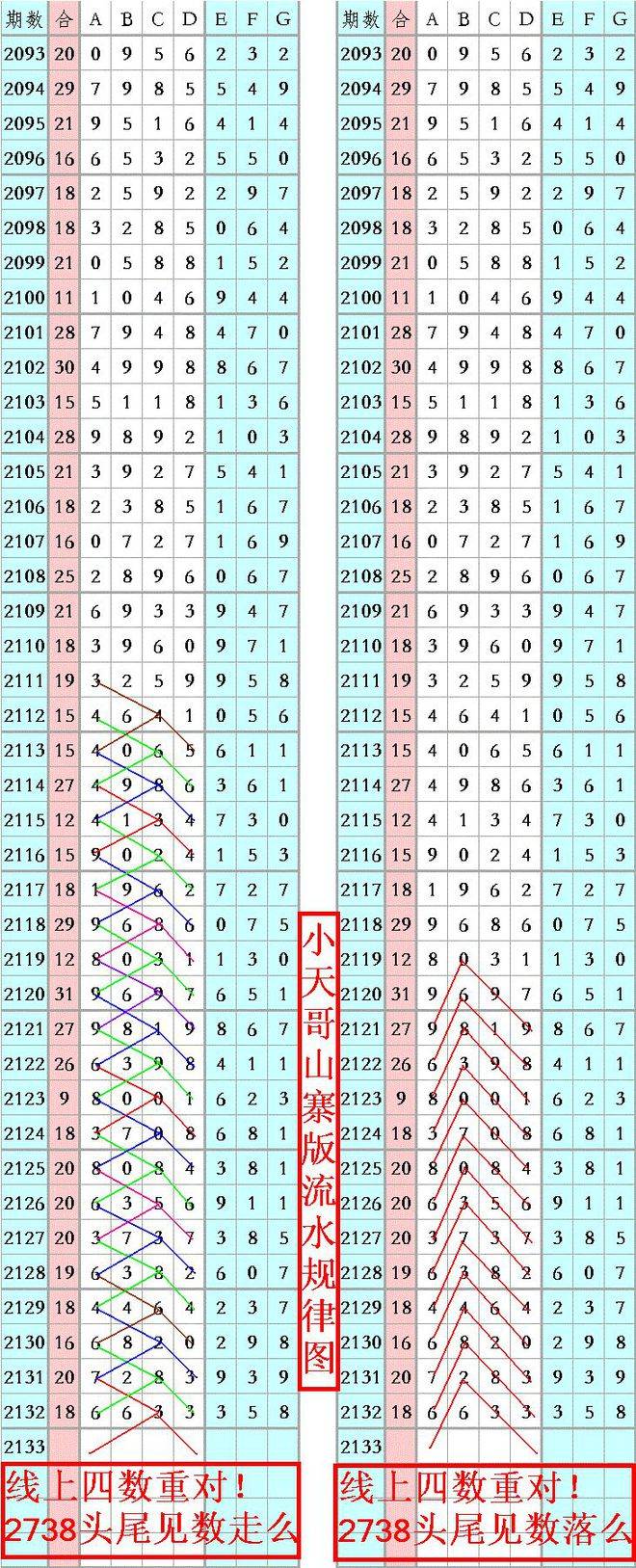 王中王資料一肖正特馬，深度解析與探索，王中王資料一肖正特馬深度解析與探索揭秘