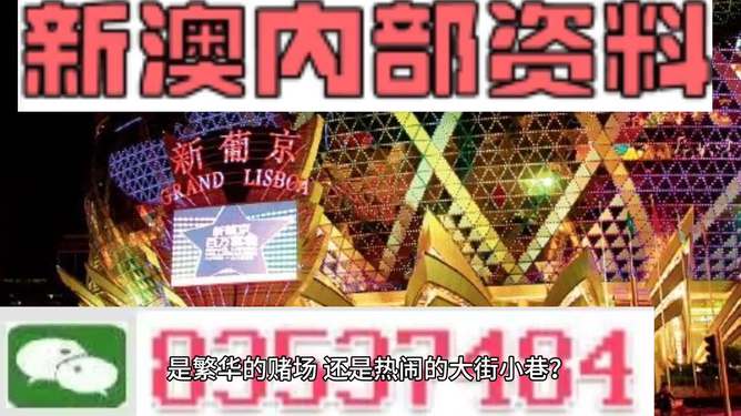 新澳門精準(zhǔn)資料大全與管家婆料，探索SEO的奧秘，探索SEO奧秘，新澳門精準(zhǔn)資料大全與管家婆料的秘密解析