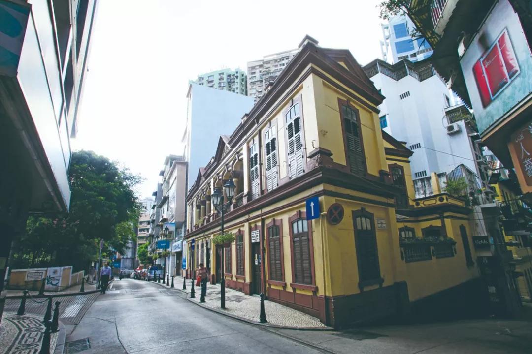 新澳門一肖單像——揭秘生肖彩票的奧秘，揭秘新澳門生肖彩票奧秘，一肖單像探秘