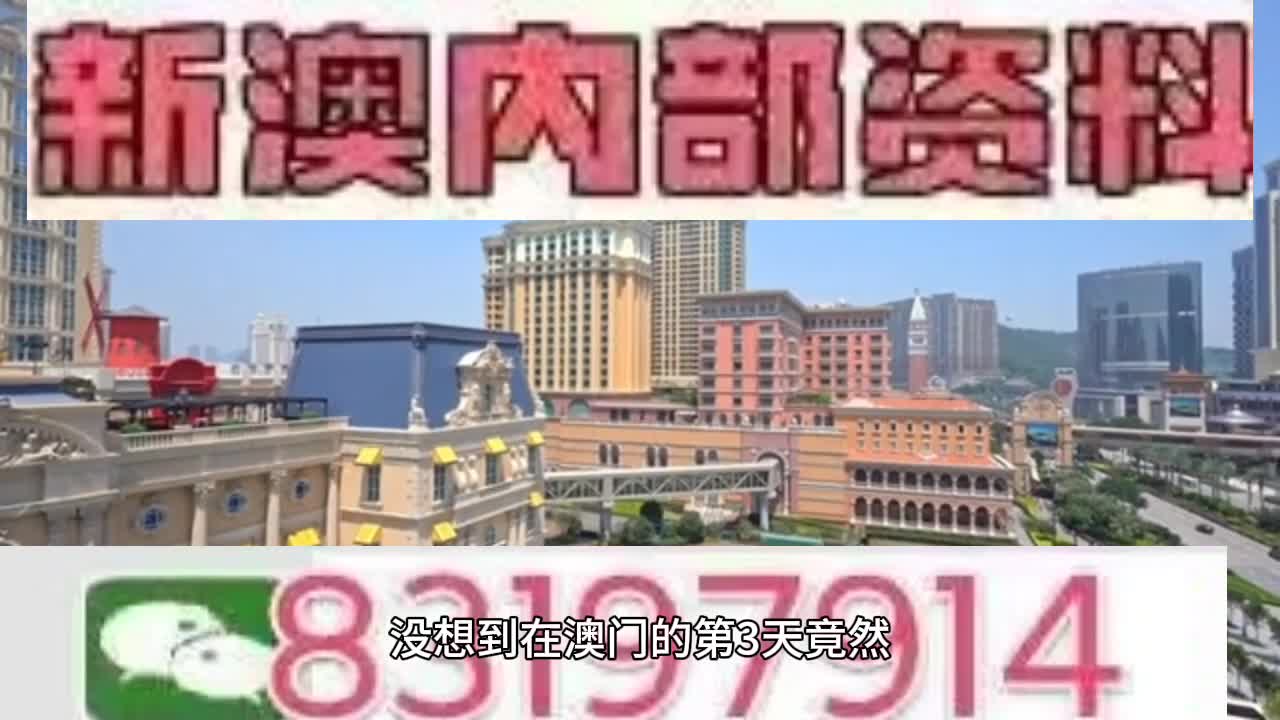 新澳門今晚必開一肖一特，探索生肖與特碼的魅力，澳門生肖特碼探索，今晚必開一肖一特之魅力