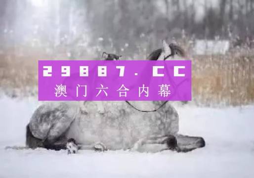 澳門(mén)正版精準(zhǔn)資料，探索未來(lái)的趨勢(shì)與機(jī)遇（2024年展望），澳門(mén)正版精準(zhǔn)資料揭秘，未來(lái)趨勢(shì)與機(jī)遇展望（2024年）