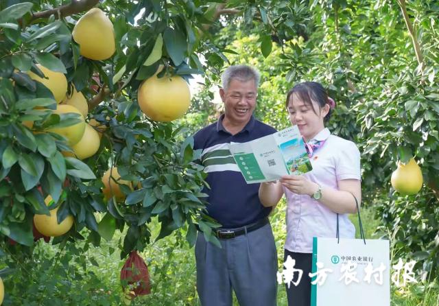 資料大全正版資料2025，一站式獲取所有你需要的信息，資料大全正版資料2025，一站式獲取所有信息總匯
