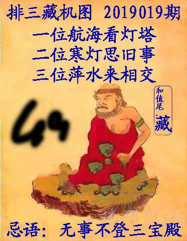王中王019期指一生肖，深度解讀與SEO優(yōu)化策略，王中王019期生肖深度解讀與SEO策略優(yōu)化指南
