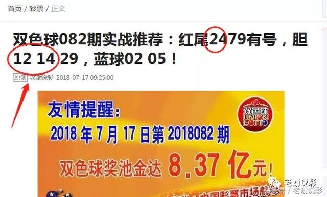 王中王082期指一生肖——探尋生肖魅力，洞悉運勢奧秘，探尋生肖魅力，揭秘運勢奧秘——王中王生肖運勢解析 082期