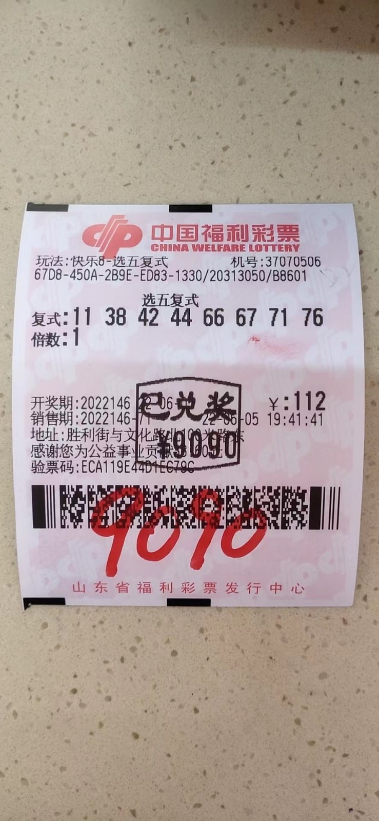 揭秘002期王中王平特一肖，背后的故事與奧秘，揭秘王中王平特一肖背后的故事與奧秘（第002期）