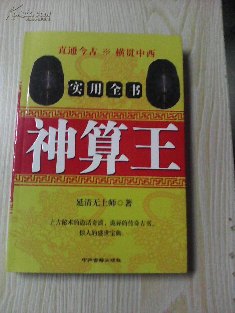 王中王資料一肖中特，揭秘神秘神算子背后的故事，揭秘神算子背后的故事，王中王資料一肖中特傳奇
