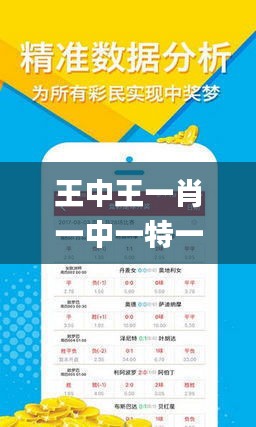 揭秘王中王欲錢詩(shī)猜一肖網(wǎng)址——探索背后的奧秘與技巧，揭秘王中王欲錢詩(shī)猜一肖網(wǎng)址背后的秘密與技巧探索