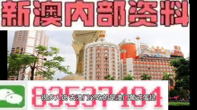 新澳門三中三碼精準預測