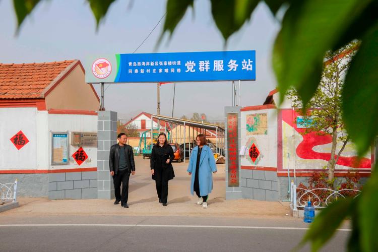 2025新澳天天開彩大全——衣冠群獸探秘，2025新澳天天開彩大全，衣冠群獸探秘之旅