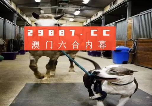 澳門一肖一碼一必中一肖，同舟前進(jìn)的奧秘與策略，澳門一肖一碼必中策略與前進(jìn)奧秘，同舟共濟(jì)的揭秘與策略