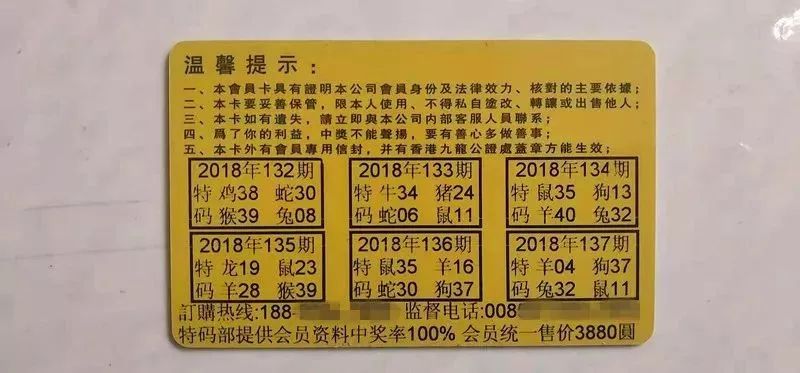 香港中特期期準資料，深度解析與探索，香港中特期期準資料深度解析與探索報告