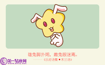 揭秘精準(zhǔn)生肖，探尋神奇的數(shù)字組合777778與888888背后的生肖秘密，揭秘生肖秘密，數(shù)字組合777778與888888背后的生肖傳奇
