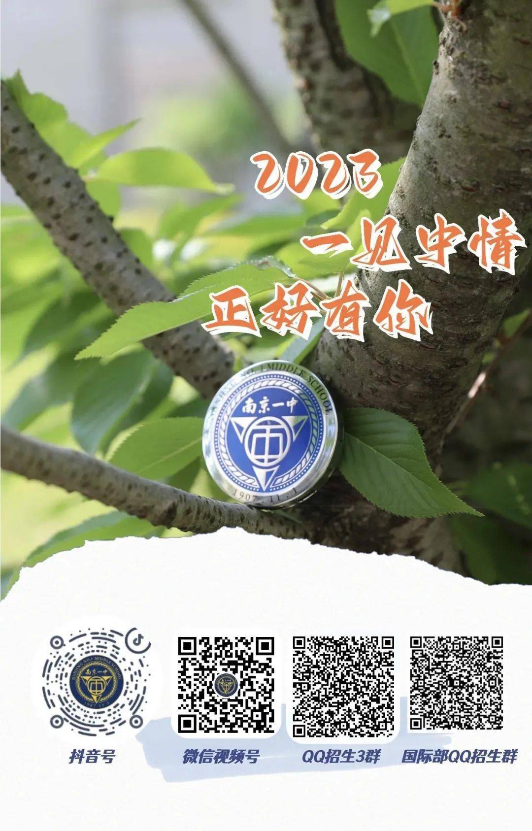 一碼一肖一特一中，揭秘背后的秘密與奧秘，揭秘一碼一肖一特一中背后的秘密奧秘