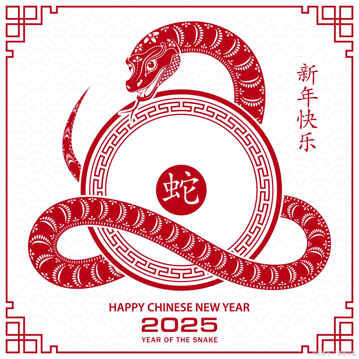 新澳2025年生肖圖，探尋未來(lái)運(yùn)勢(shì)與幸運(yùn)符號(hào)，新澳2025年生肖圖，探尋未來(lái)運(yùn)勢(shì)，揭秘幸運(yùn)符號(hào)