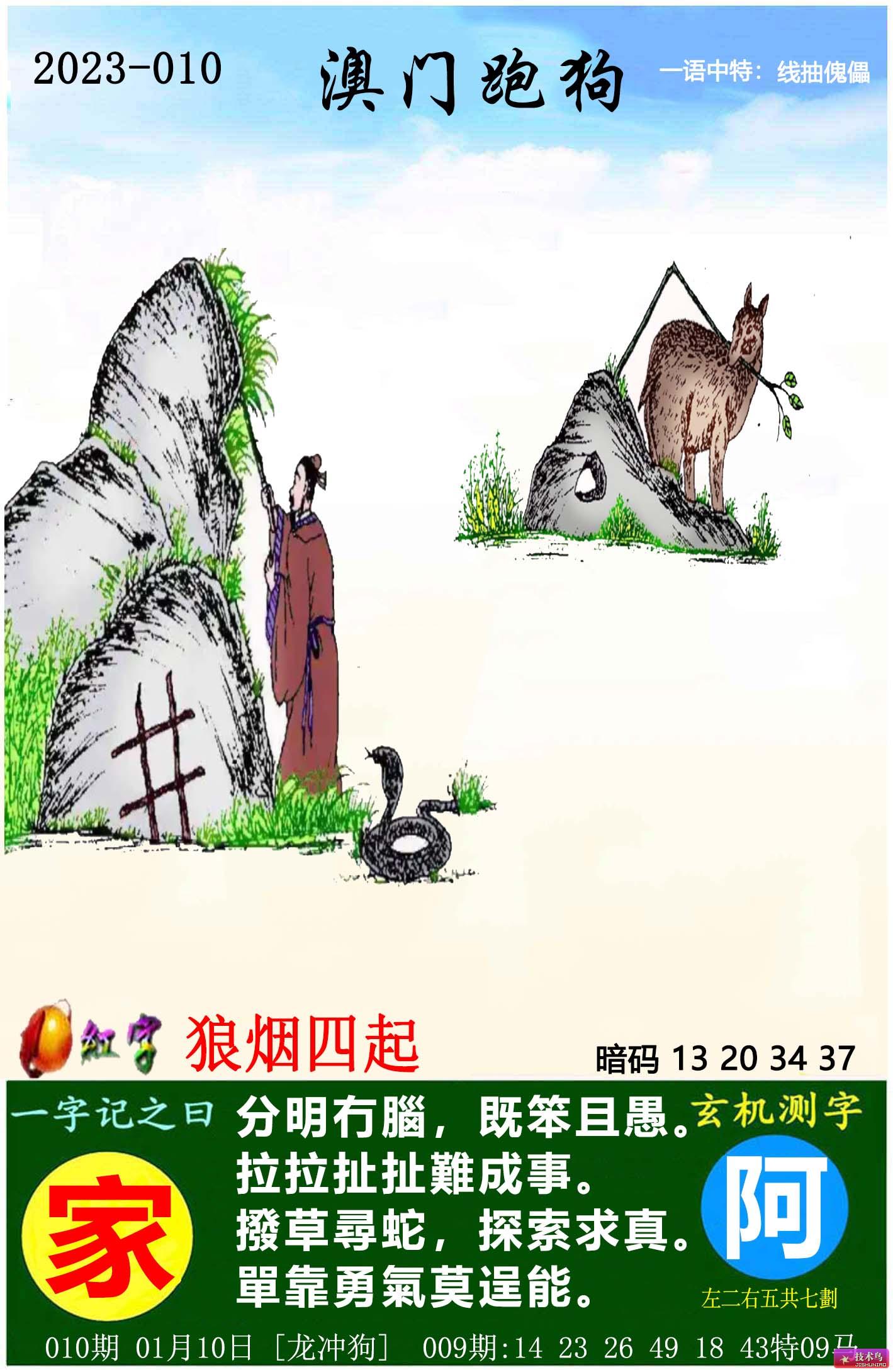 跑狗圖8888精準(zhǔn)正版，探索真實與樂趣的交融，跑狗圖8888精準(zhǔn)正版，真實與樂趣的交融探索