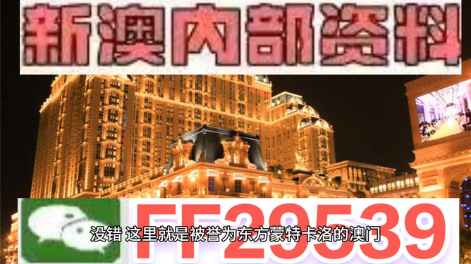 預(yù)測與分析，2025年澳門開獎結(jié)果展望，2025年澳門開獎結(jié)果預(yù)測與展望分析報告