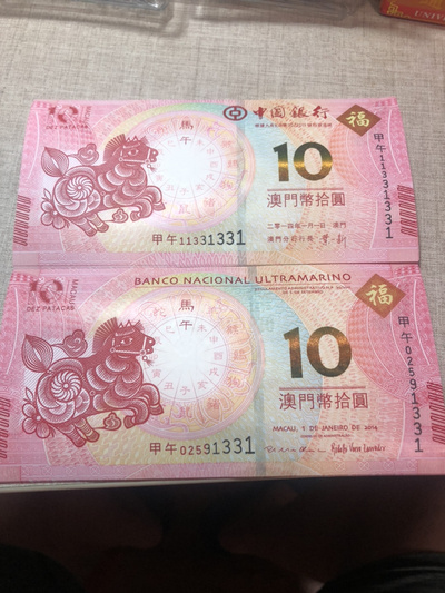 揭秘明天澳門必中生肖的神秘面紗，揭秘明天澳門必中生肖的神秘秘密