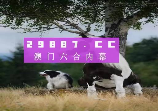 揭秘7777788888精準(zhǔn)新跑狗——全方位解讀與體驗，揭秘精準(zhǔn)新跑狗，全方位解讀與體驗7777788888跑狗秘籍