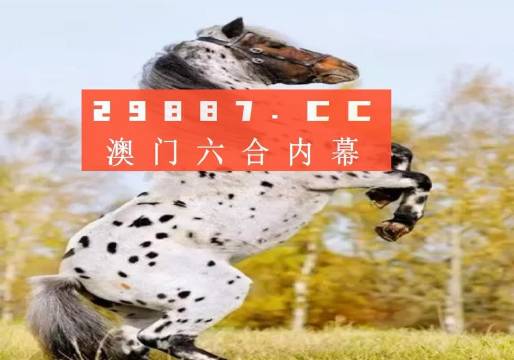 白小姐的精準免費四肖，揭秘背后的秘密，揭秘白小姐精準免費四肖背后的秘密