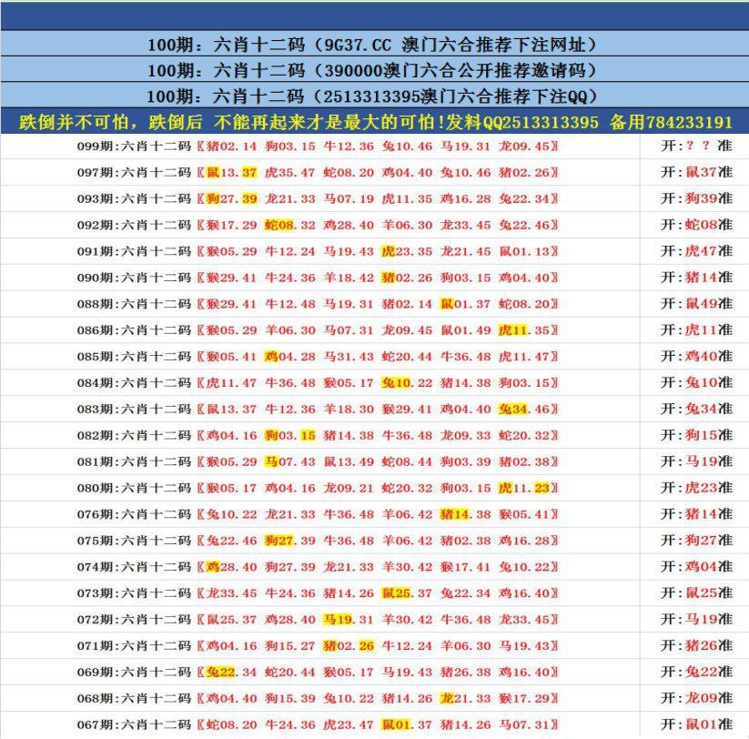 澳門無錯九肖今日搜狗，探索與解析，澳門無錯九肖今日搜狗，深度解析與探索