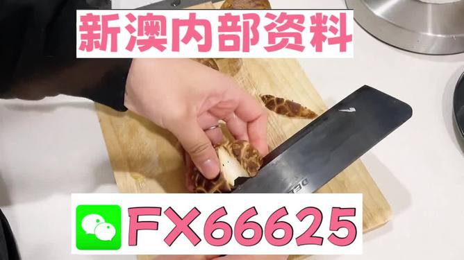 澳門九點半9點半網(wǎng)站——探索其魅力與優(yōu)勢，澳門九點半網(wǎng)站，魅力與優(yōu)勢探索