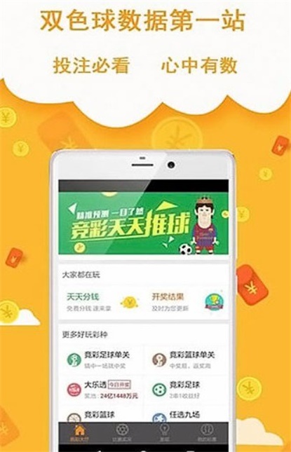 王中王493333中特網(wǎng)，探索與解析，王中王493333中特網(wǎng)，深度探索與解析