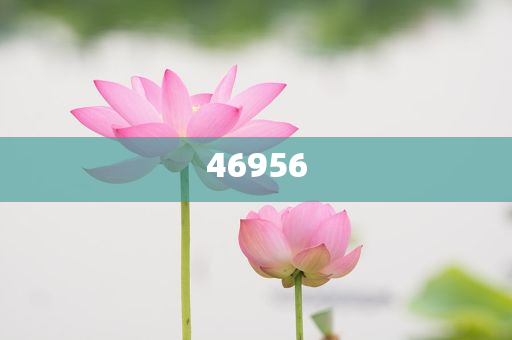 新奧集團(tuán)，邁向2025，天天開好彩的愿景與挑戰(zhàn)，新奧集團(tuán)邁向2025，實(shí)現(xiàn)天天開好彩的愿景與挑戰(zhàn)