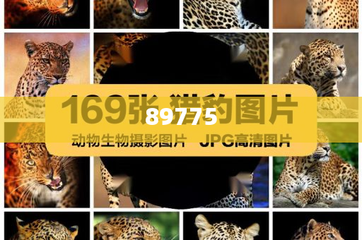 關(guān)于新奧歷史開(kāi)獎(jiǎng)記錄的最新信息，今天公布了嗎？，新奧歷史開(kāi)獎(jiǎng)記錄最新信息公布了嗎？